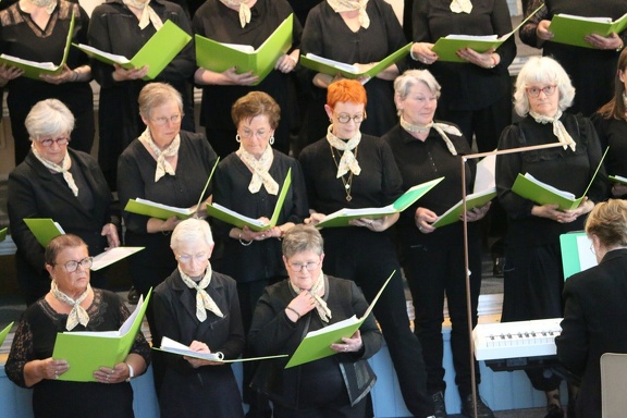 IMG 7009