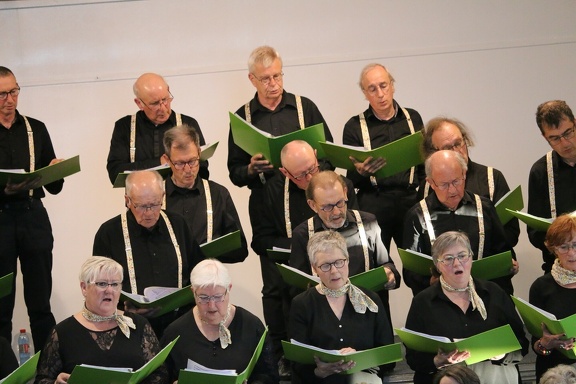 IMG 7013