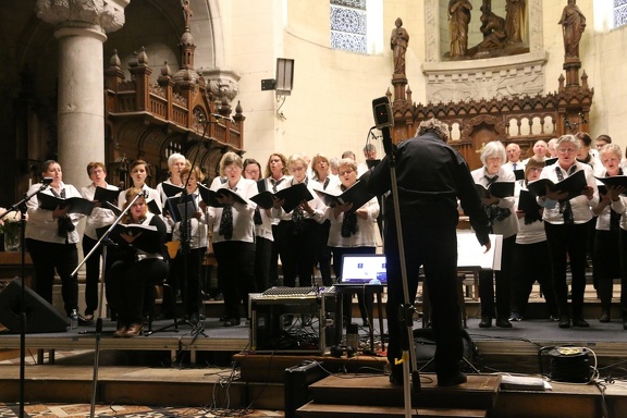 IMG 6539