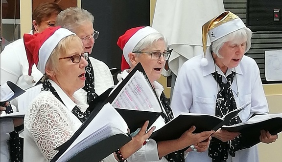 269270387 4534072593357622 2224806081945040825 n