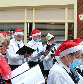 269487787 4534073526690862 3464728947639048791 n