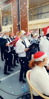 269618081 4534072960024252 7808260425967247779 n