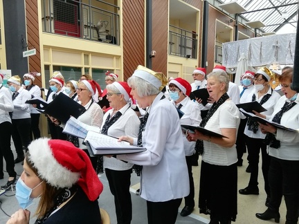 269712598 4534073386690876 3805324862561865198 n