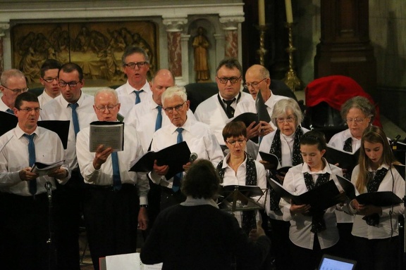 48270284 1433616500108924 915139174363824128 n