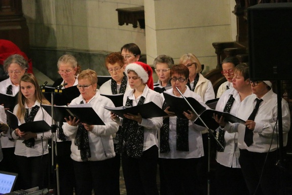 48275006 1433616133442294 5852215200786153472 n