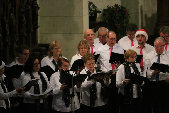 48355561 1433615170109057 2221962851973595136 n