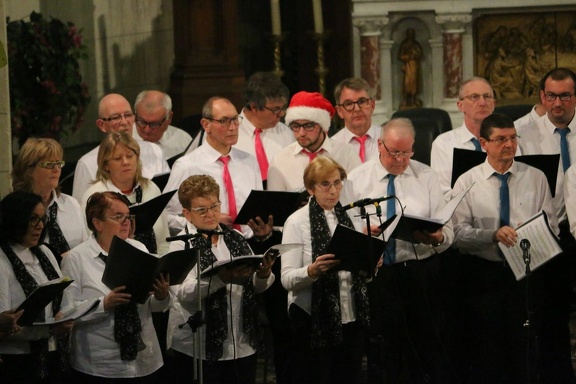 48366642 1433615743442333 6547889582208188416 n