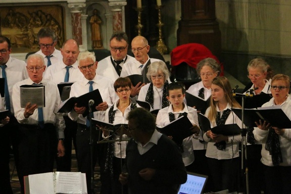 48391257 1433615426775698 7538239367706312704 n