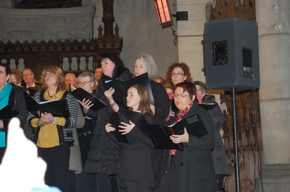 DSC 0523