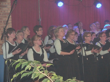 DSC00076 (2)