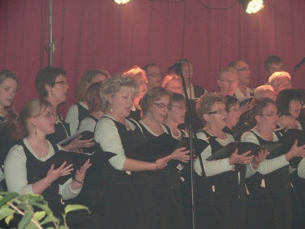 DSC00081 (2)