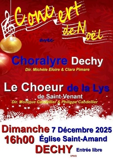 affiche concert Dechy